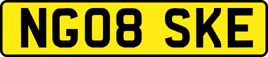 NG08SKE