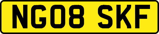 NG08SKF