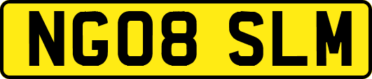 NG08SLM