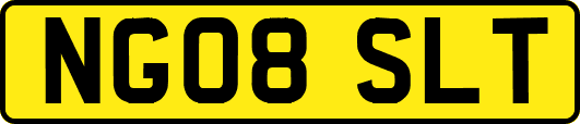 NG08SLT