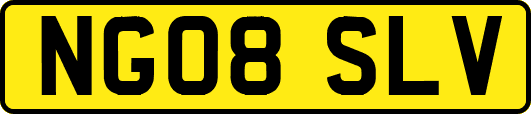 NG08SLV