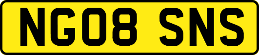 NG08SNS