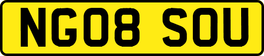 NG08SOU