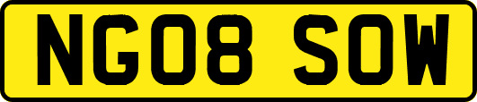 NG08SOW