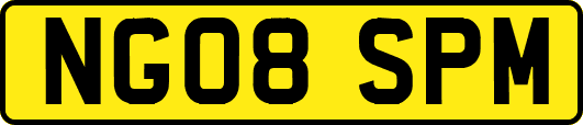 NG08SPM