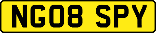 NG08SPY