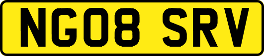 NG08SRV