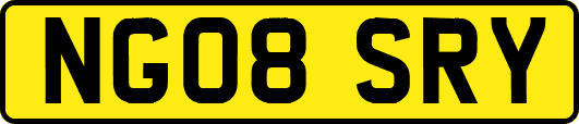 NG08SRY