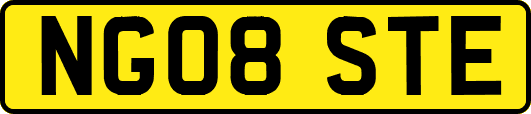 NG08STE