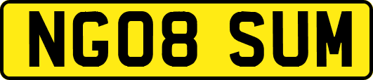 NG08SUM
