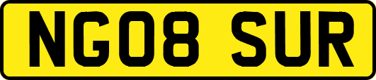 NG08SUR