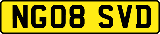 NG08SVD
