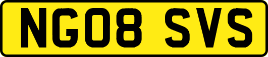 NG08SVS