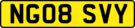 NG08SVY