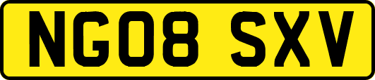 NG08SXV