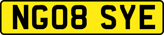 NG08SYE