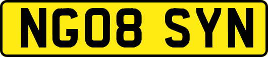 NG08SYN