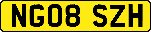 NG08SZH