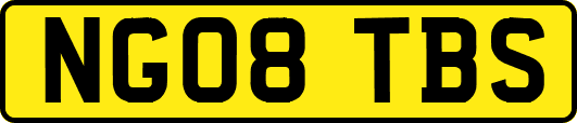 NG08TBS