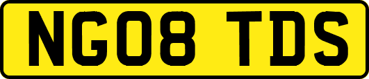 NG08TDS