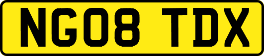 NG08TDX