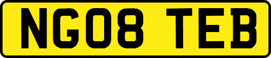 NG08TEB