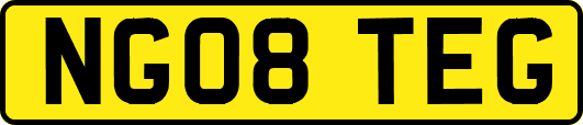 NG08TEG