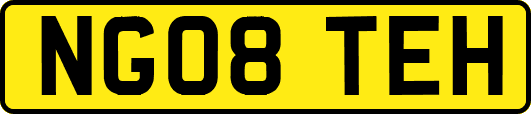 NG08TEH