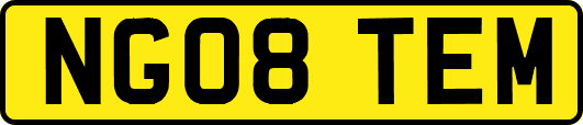 NG08TEM