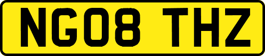 NG08THZ