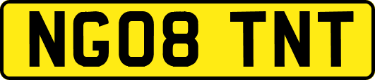 NG08TNT
