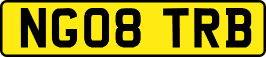 NG08TRB