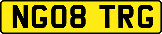 NG08TRG