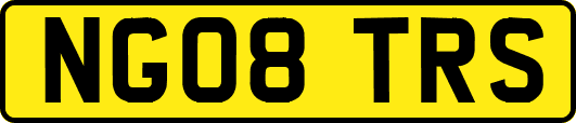 NG08TRS