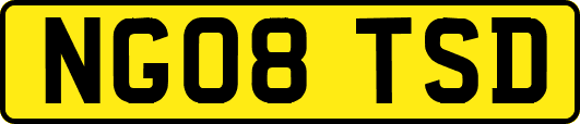 NG08TSD