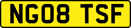 NG08TSF