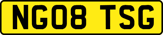 NG08TSG