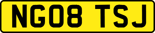 NG08TSJ