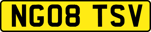 NG08TSV