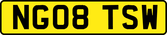 NG08TSW