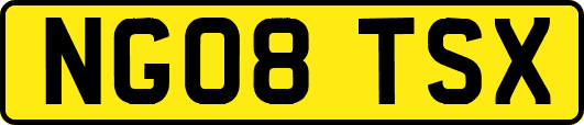 NG08TSX