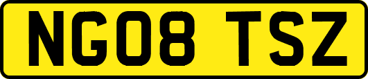 NG08TSZ