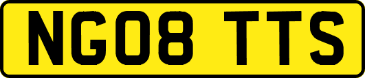 NG08TTS