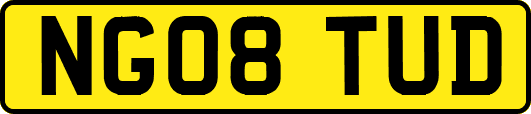 NG08TUD