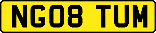 NG08TUM