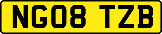NG08TZB