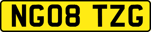 NG08TZG