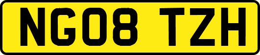 NG08TZH