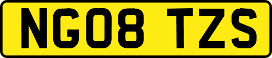 NG08TZS