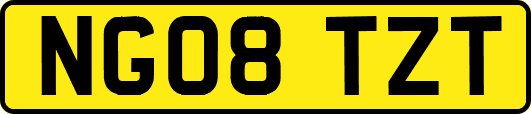 NG08TZT